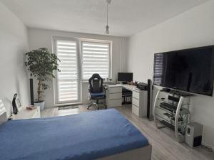 Prodej bytu 4+1, Třebíč - Nové Dvory, Novodvorská, 91 m2