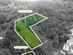 Prodej komerčního pozemku, Desná - Desná I, 14182 m2