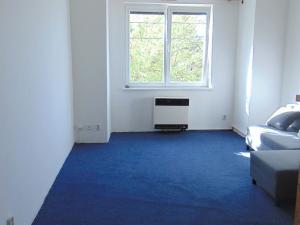 Pronájem bytu 1+kk, Praha - Vinohrady, Soběslavská, 30 m2