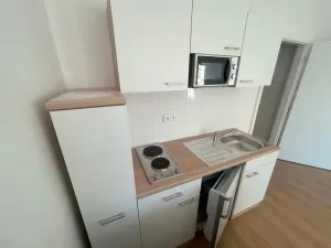 Pronájem bytu 1+kk, Praha - Vinohrady, Soběslavská, 30 m2