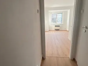 Pronájem bytu 1+kk, Praha - Vinohrady, Soběslavská, 30 m2