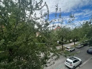 Pronájem bytu 1+kk, Praha - Vinohrady, Soběslavská, 30 m2