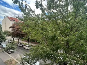 Pronájem bytu 1+kk, Praha - Vinohrady, Soběslavská, 30 m2