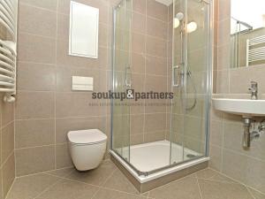 Pronájem bytu 1+kk, Praha, Čakovická, 34 m2