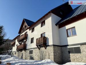 Pronájem bytu 3+kk, Vítkovice, 74 m2