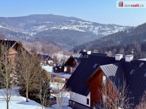 Pronájem bytu 3+kk, Vítkovice, 74 m2