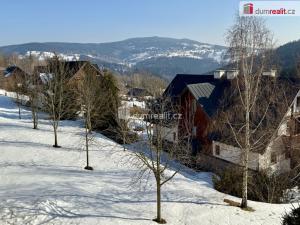 Pronájem bytu 3+kk, Vítkovice, 74 m2