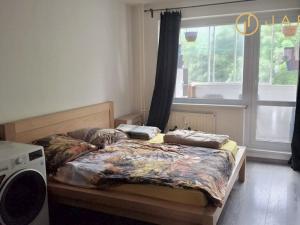 Prodej bytu 3+1, Klášterec nad Ohří, Okružní, 77 m2