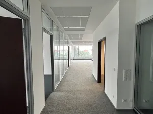 Pronájem kanceláře, Brno, Veveří, 300 m2