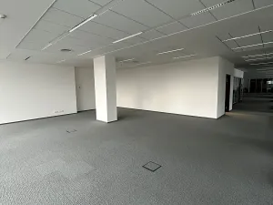 Pronájem kanceláře, Brno, Veveří, 1129 m2