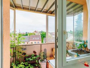Prodej bytu 3+1, Třešť, Nerudova, 74 m2