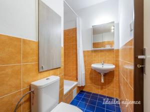 Pronájem bytu 1+kk, Praha - Bohnice, Zelenohorská, 43 m2