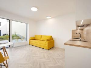 Pronájem bytu 1+kk, Brno, Cejl, 30 m2