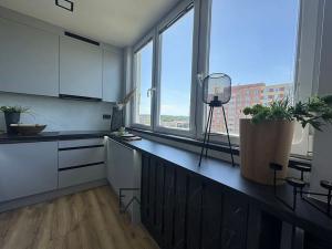Prodej bytu 3+1, Ostrava, Jugoslávská, 68 m2