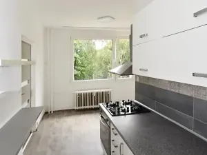 Pronájem bytu 2+1, Chomutov, Písečná, 61 m2
