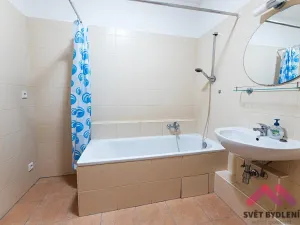 Pronájem bytu 2+kk, Praha - Sedlec, Kamýcká, 59 m2