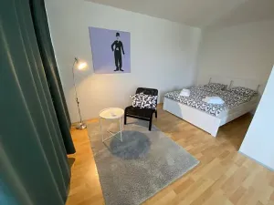 Pronájem bytu 1+kk, Praha - Karlín, Molákova, 30 m2