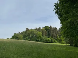 Prodej pozemku, Český Dub, 83599 m2