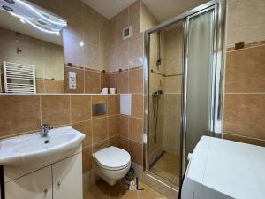 Pronájem bytu 2+kk, Jablonec nad Nisou, Liberecká, 40 m2
