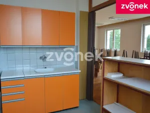 Pronájem obchodního prostoru, Bystřice pod Hostýnem, 270 m2