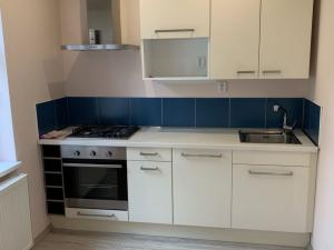 Prodej rodinného domu, Rokycany - Plzeňské Předměstí, Třebízského, 110 m2