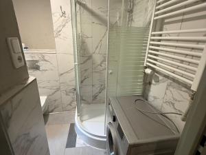 Pronájem bytu 1+kk, Mariánské Lázně, Třebízského, 30 m2