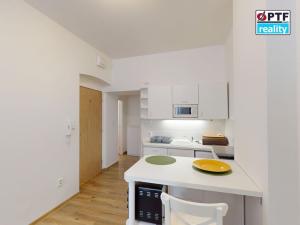 Pronájem bytu 1+kk, Plzeň, Plzenecká, 20 m2