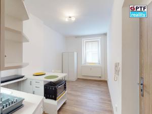 Pronájem bytu 1+kk, Plzeň, Plzenecká, 20 m2
