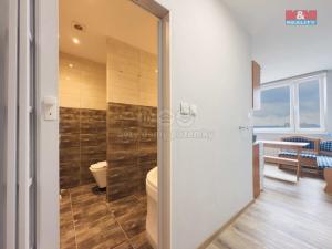 Pronájem bytu 1+1, Karviná - Mizerov, Centrum, 30 m2