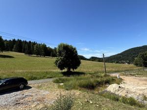 Prodej rodinného domu, Stříbrná, 100 m2