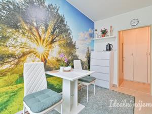 Pronájem bytu 1+1, Koryčany, Zámecká, 50 m2