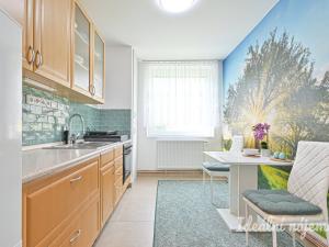Pronájem bytu 1+1, Koryčany, Zámecká, 50 m2