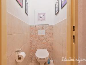 Pronájem bytu 1+1, Koryčany, Zámecká, 50 m2