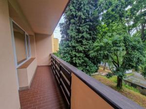 Prodej bytu 2+1, Trutnov - Dolní Předměstí, Kpt. Jaroše, 75 m2