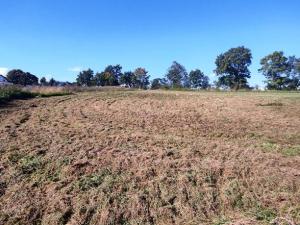 Prodej pozemku pro bydlení, Postupice, 2099 m2