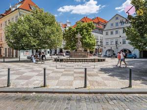 Pronájem bytu 3+1, Praha - Staré Město, Michalská, 99 m2