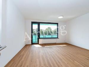 Pronájem bytu 1+kk, Praha - Žižkov, Olgy Havlové, 35 m2