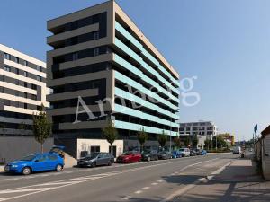 Pronájem bytu 1+kk, Praha - Žižkov, Olgy Havlové, 35 m2