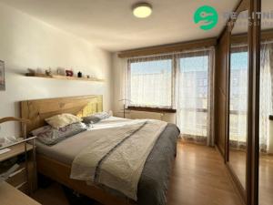 Prodej bytu 4+1, Pelhřimov - Starý Pelhřimov, Starý Pelhřimov, 111 m2