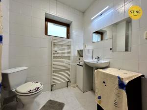 Prodej rodinného domu, Dětmarovice, 350 m2