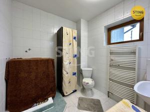 Prodej rodinného domu, Dětmarovice, 350 m2