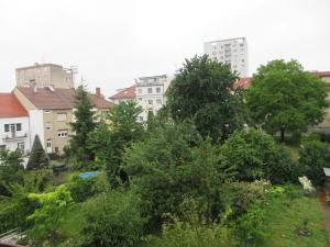 Pronájem bytu 3+1, Brno, Volfova, 86 m2