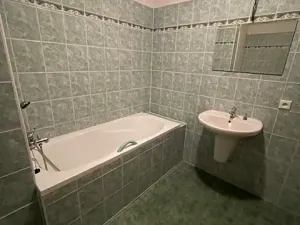 Pronájem bytu 1+kk, Olomouc, Družební, 40 m2