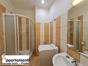 Pronájem bytu 2+kk, Praha - Staré Město, Platnéřská, 51 m2