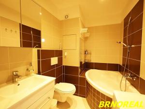 Prodej bytu 2+kk, Brno, U pošty, 45 m2