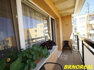 Prodej bytu 2+kk, Brno, U pošty, 45 m2
