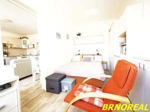 Prodej bytu 2+kk, Brno, U pošty, 45 m2