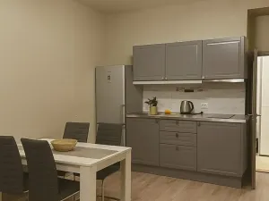 Pronájem bytu 2+kk, Praha - Smíchov, Strakonická, 60 m2
