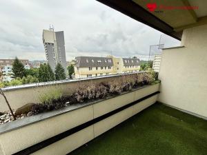 Pronájem bytu 2+kk, Olomouc, Bacherova, 55 m2