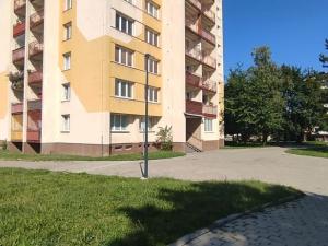 Pronájem bytu 1+kk, Ostrava, Gen. Janouška, 32 m2